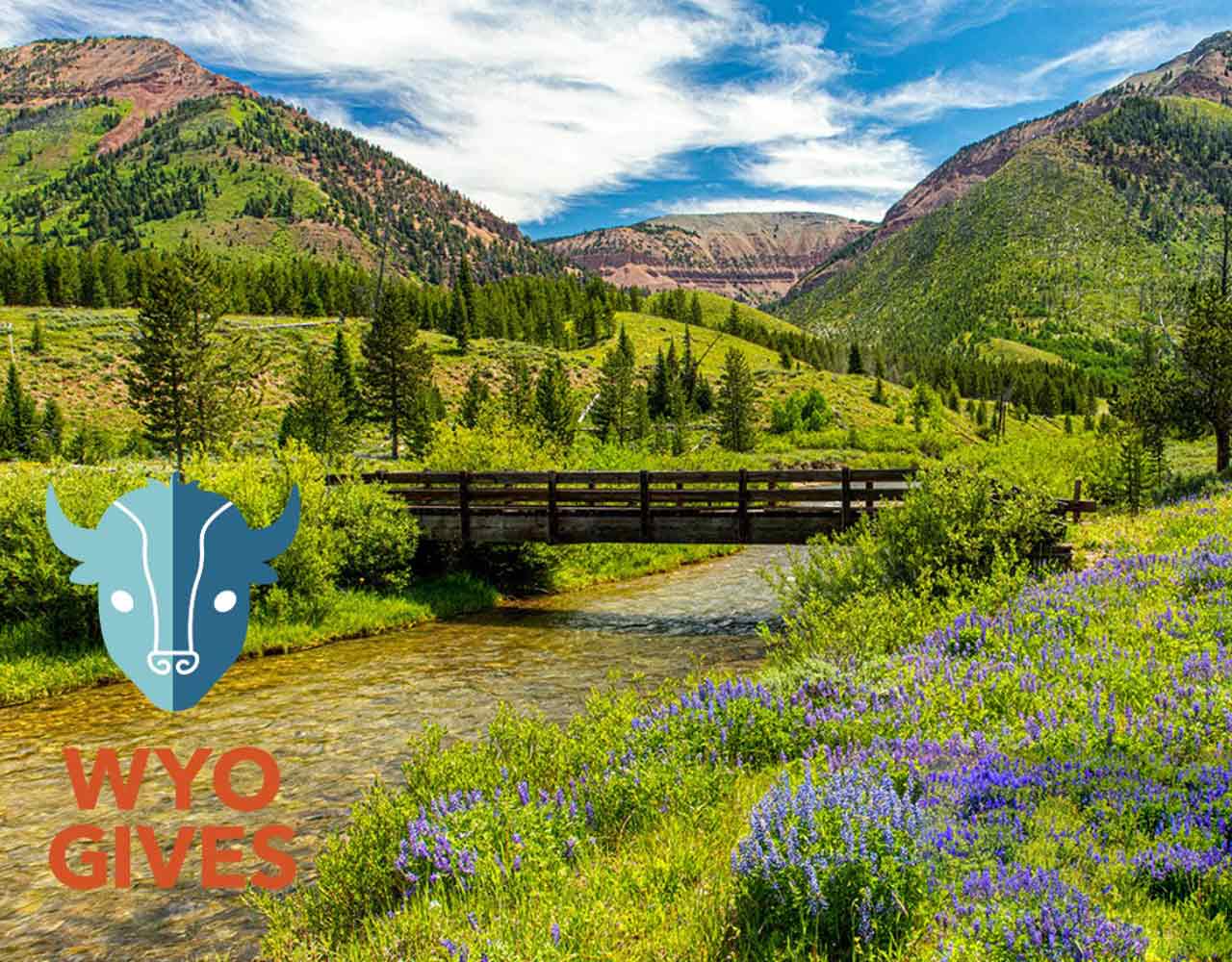 Wyogives logo on scenery picture of Wyoming