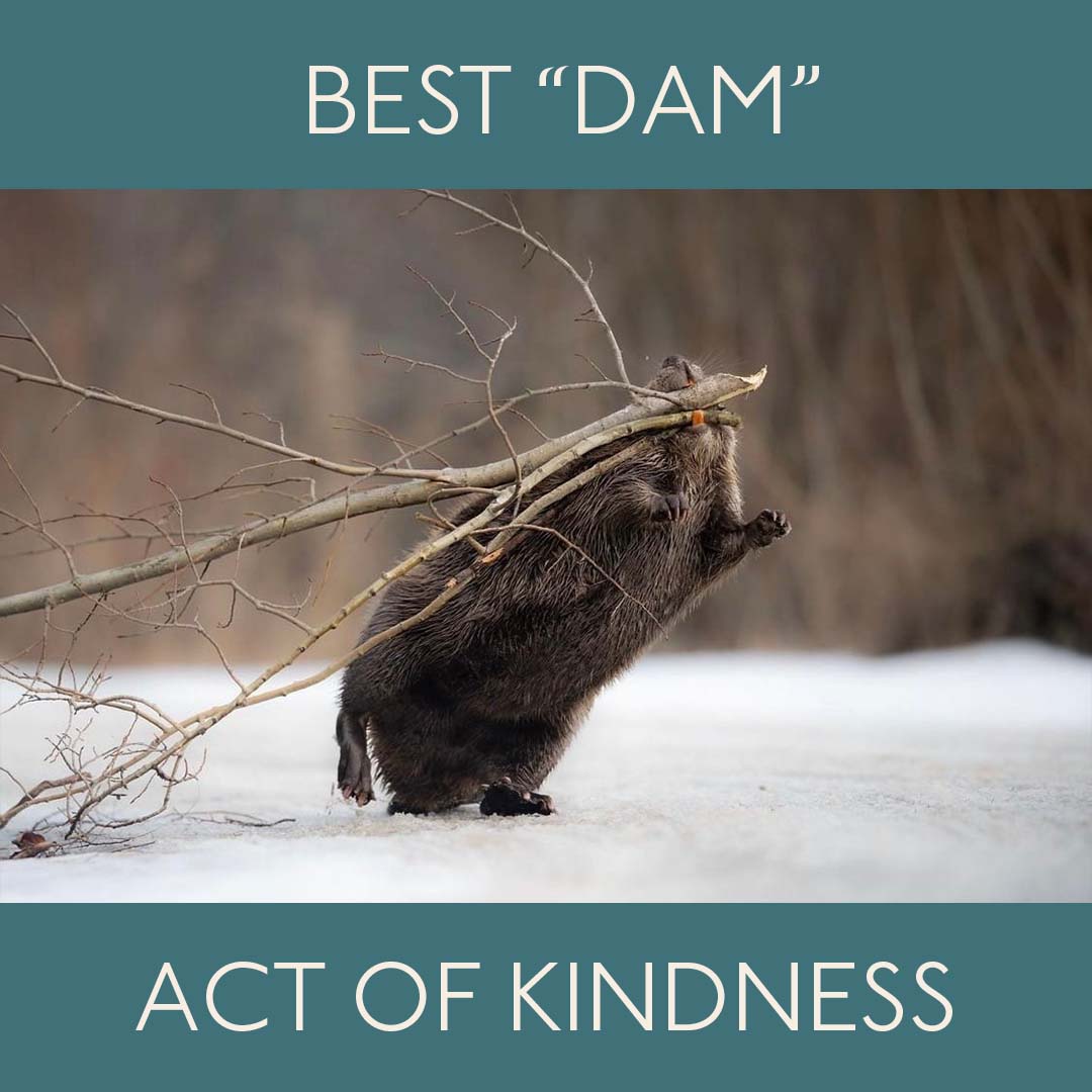 Best Dam Act of Kindness