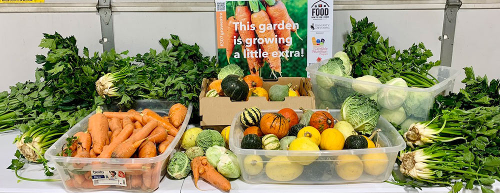 Table full of vegetables