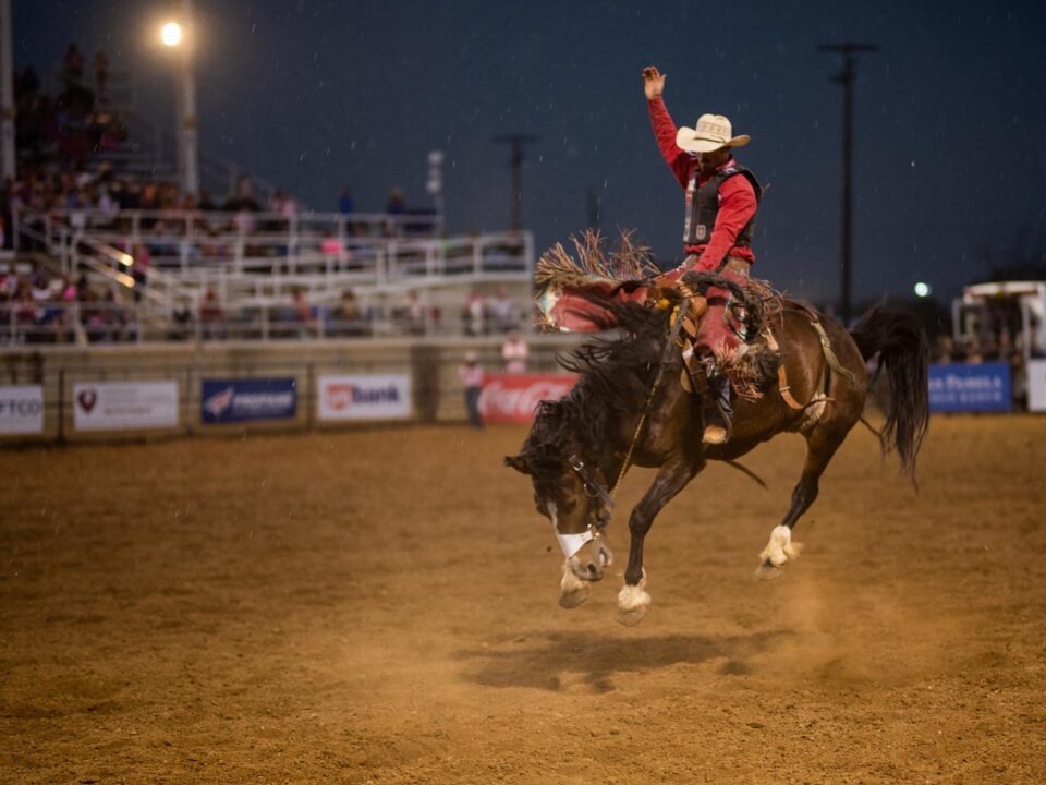 Sheridan-Rodeo_Featured-Image