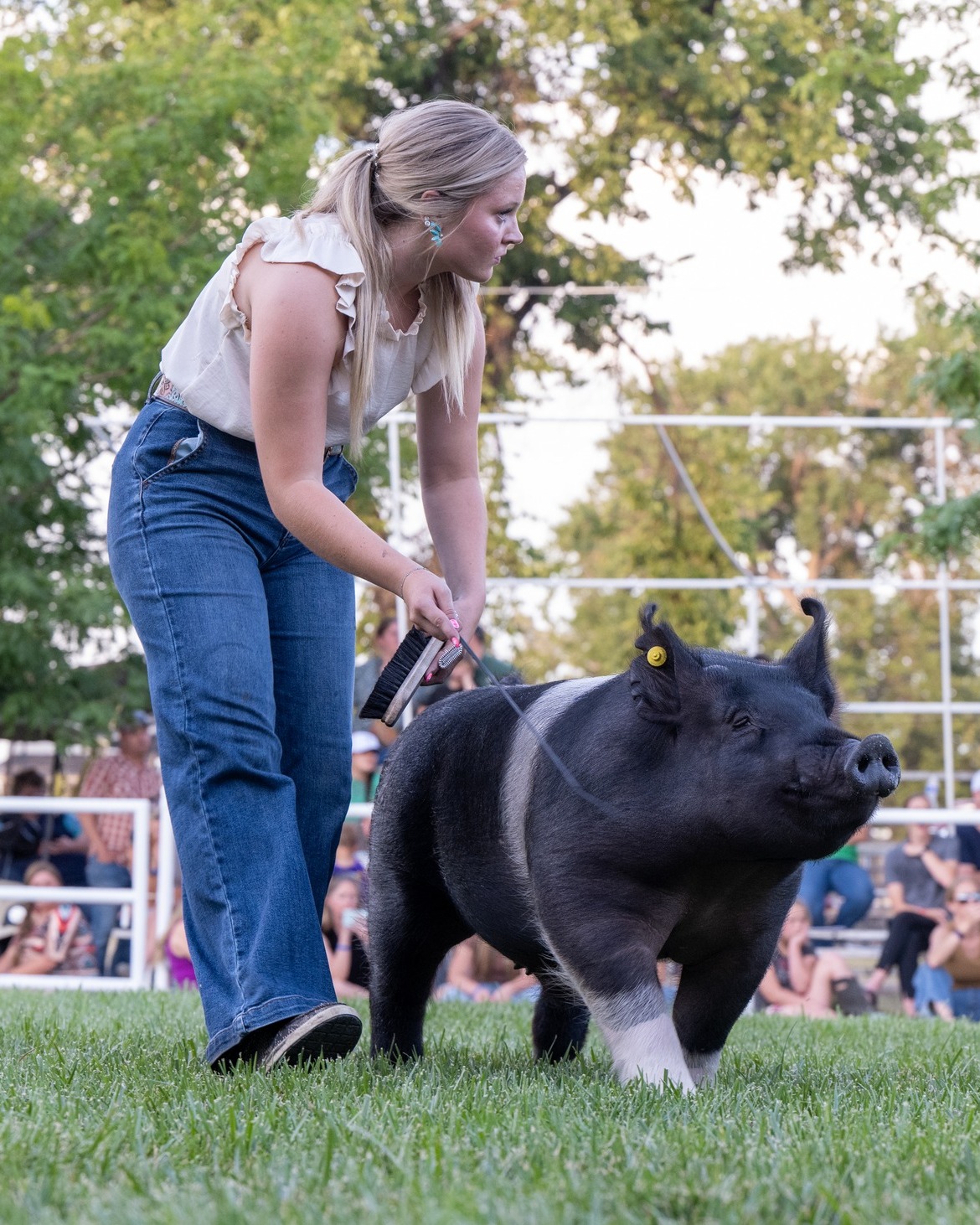 Wyoming State Fair