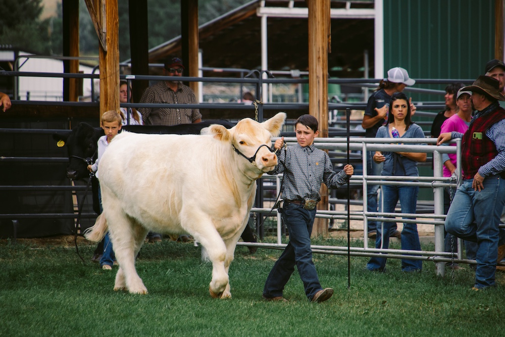 Image: Johnson County Fair & Rodeo, Facebook